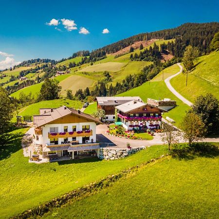Appartement Lindbichlhof Urlaub Am Bio Bauernhof à Sankt Johann im Pongau Extérieur photo