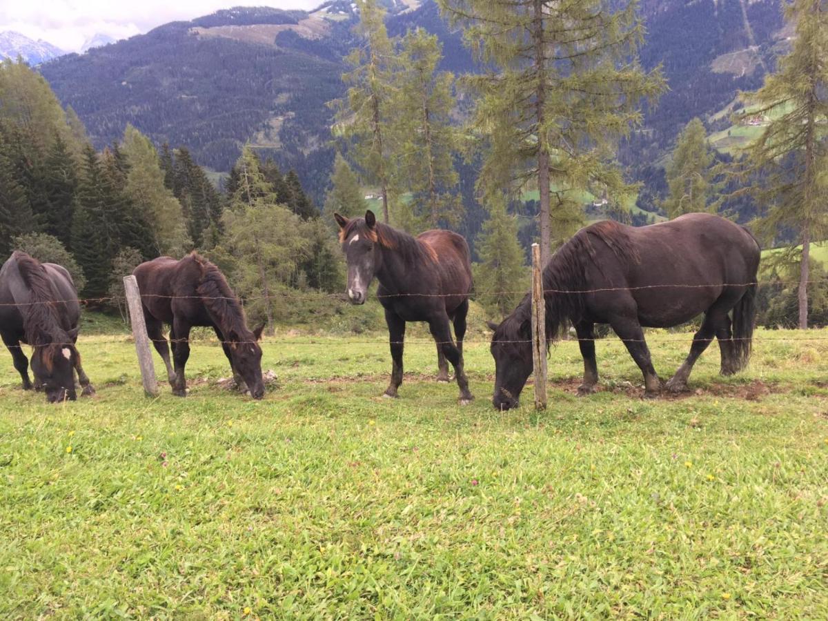 Appartement Lindbichlhof Urlaub Am Bio Bauernhof à Sankt Johann im Pongau Extérieur photo
