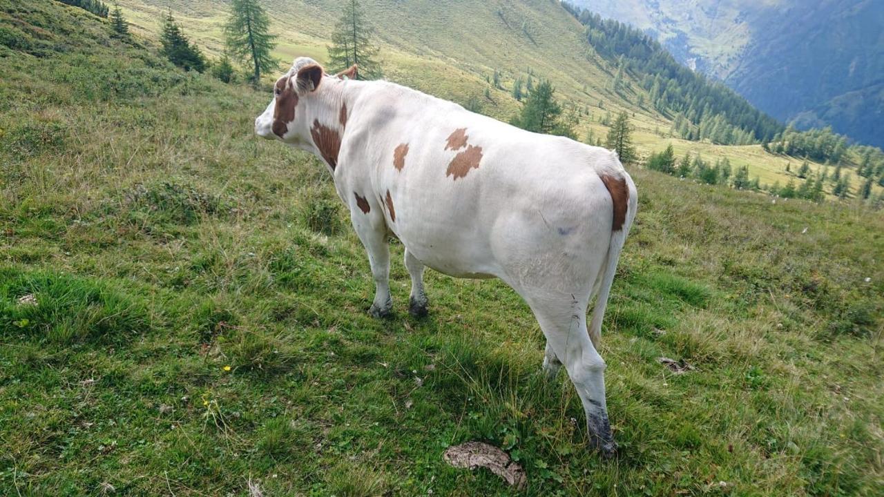 Appartement Lindbichlhof Urlaub Am Bio Bauernhof à Sankt Johann im Pongau Extérieur photo