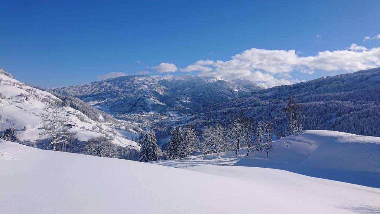 Appartement Lindbichlhof Urlaub Am Bio Bauernhof à Sankt Johann im Pongau Extérieur photo