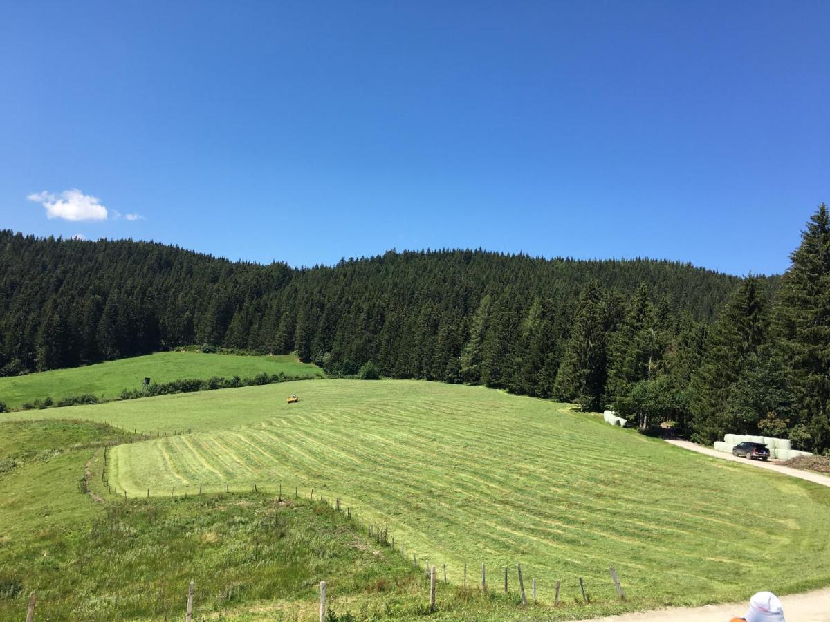 Appartement Lindbichlhof Urlaub Am Bio Bauernhof à Sankt Johann im Pongau Extérieur photo