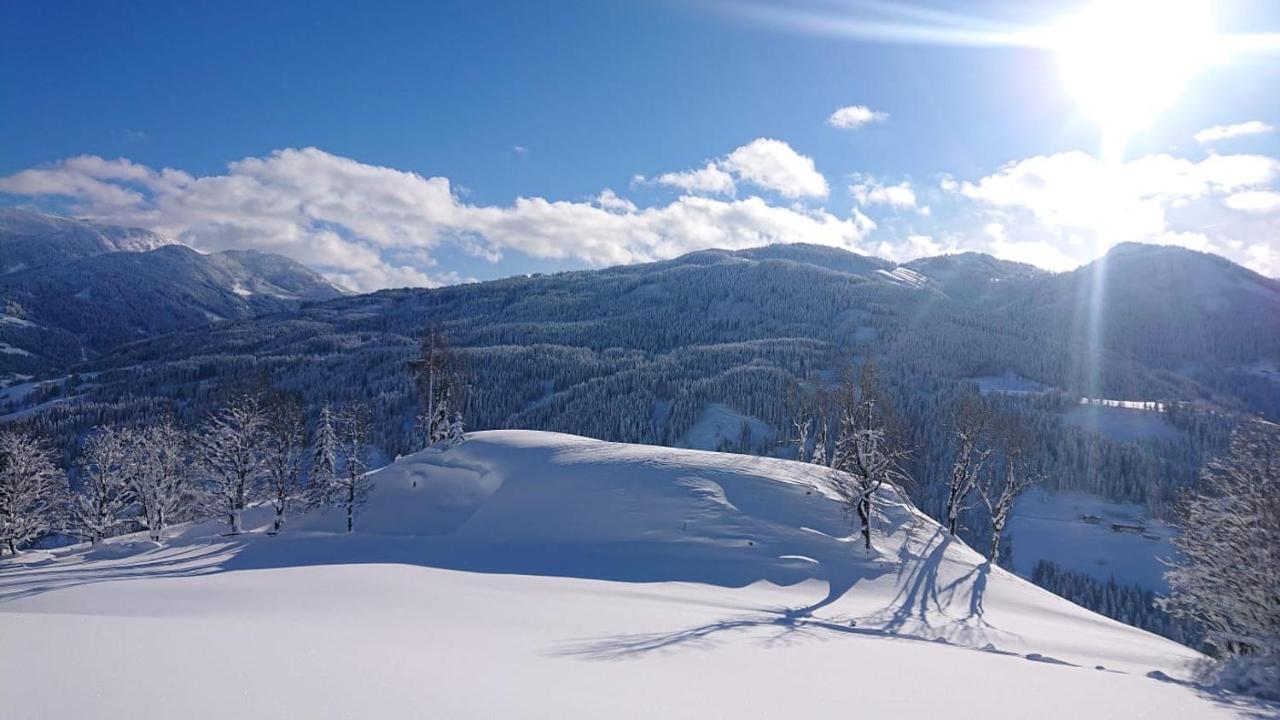 Appartement Lindbichlhof Urlaub Am Bio Bauernhof à Sankt Johann im Pongau Extérieur photo
