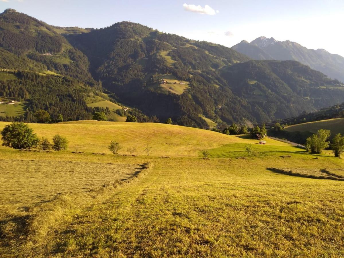 Appartement Lindbichlhof Urlaub Am Bio Bauernhof à Sankt Johann im Pongau Extérieur photo