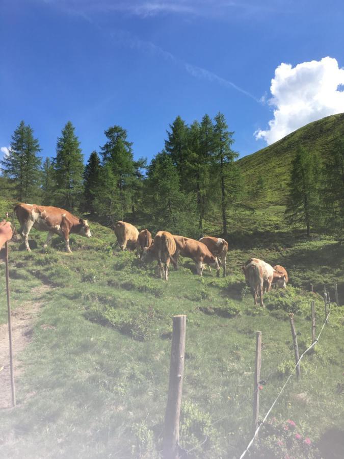 Appartement Lindbichlhof Urlaub Am Bio Bauernhof à Sankt Johann im Pongau Extérieur photo