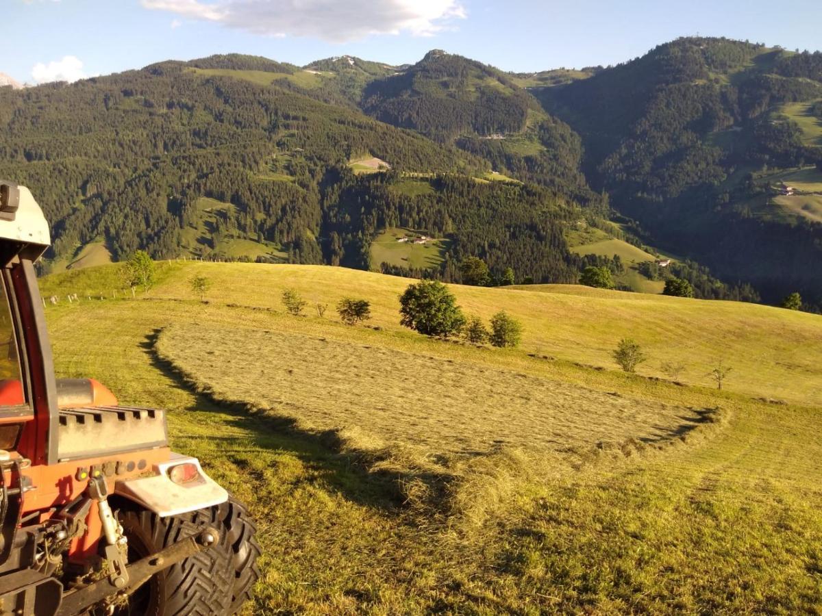 Appartement Lindbichlhof Urlaub Am Bio Bauernhof à Sankt Johann im Pongau Extérieur photo