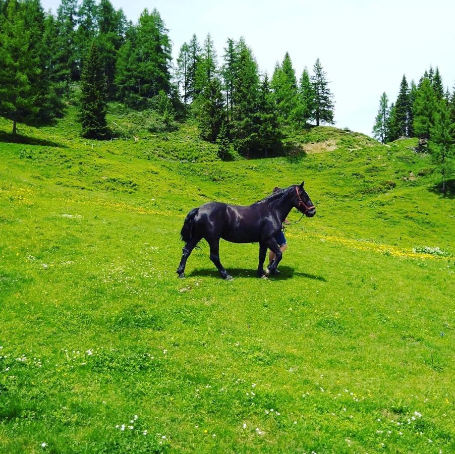 Appartement Lindbichlhof Urlaub Am Bio Bauernhof à Sankt Johann im Pongau Extérieur photo