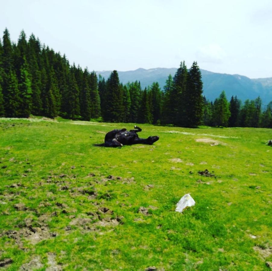 Appartement Lindbichlhof Urlaub Am Bio Bauernhof à Sankt Johann im Pongau Extérieur photo