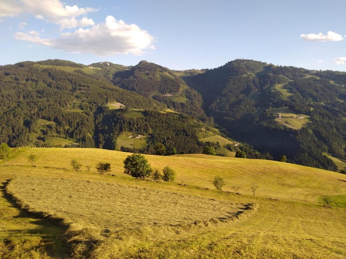 Appartement Lindbichlhof Urlaub Am Bio Bauernhof à Sankt Johann im Pongau Extérieur photo