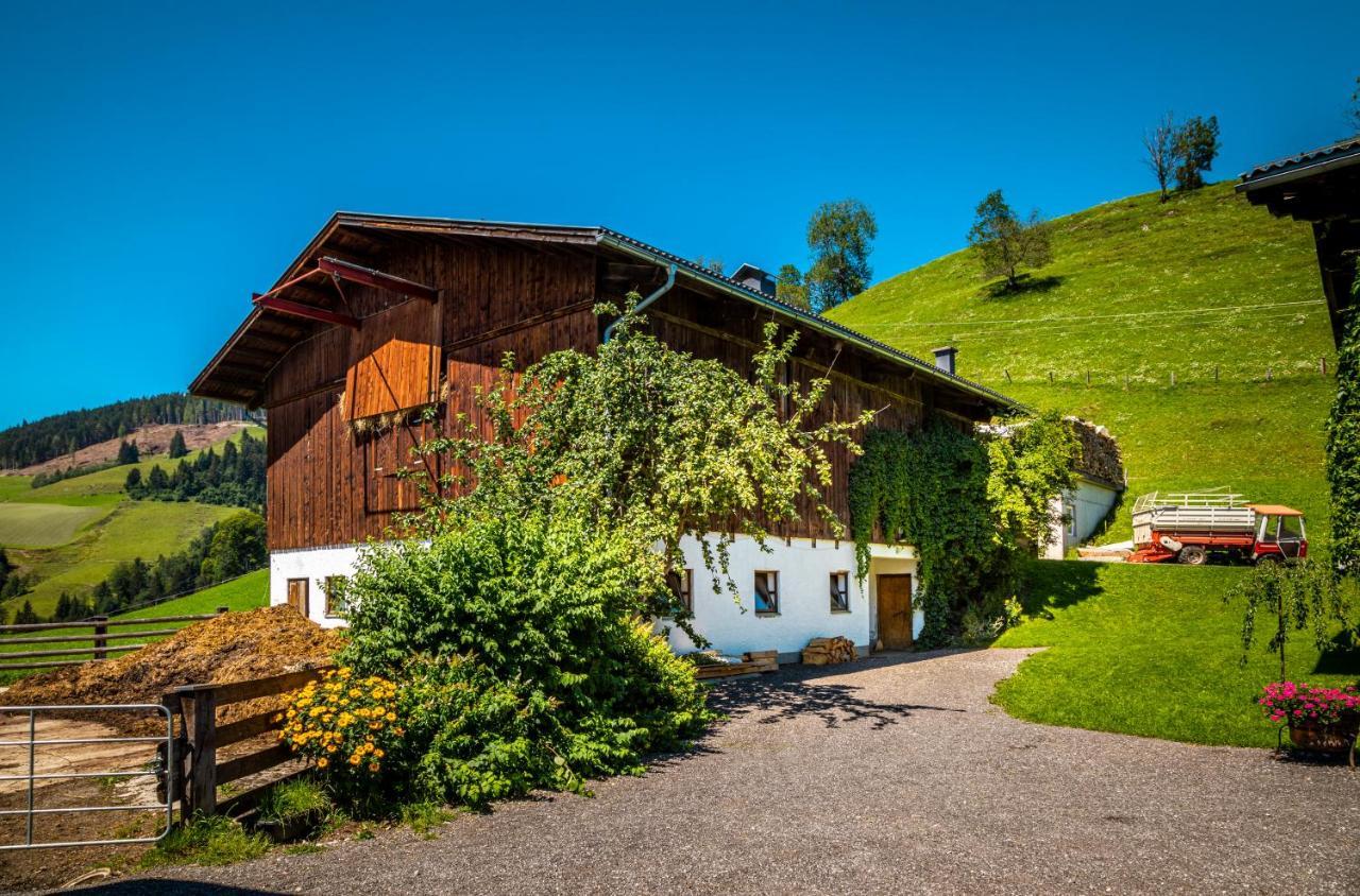 Appartement Lindbichlhof Urlaub Am Bio Bauernhof à Sankt Johann im Pongau Extérieur photo
