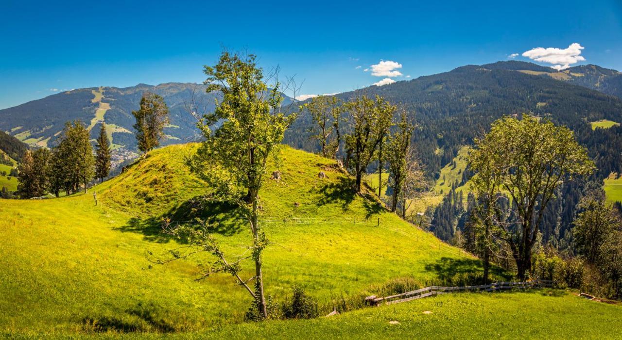 Appartement Lindbichlhof Urlaub Am Bio Bauernhof à Sankt Johann im Pongau Extérieur photo
