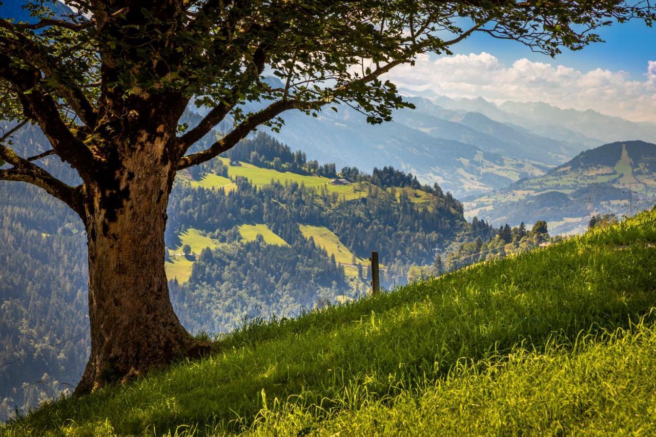 Appartement Lindbichlhof Urlaub Am Bio Bauernhof à Sankt Johann im Pongau Extérieur photo