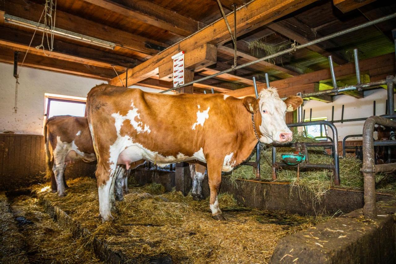 Appartement Lindbichlhof Urlaub Am Bio Bauernhof à Sankt Johann im Pongau Extérieur photo
